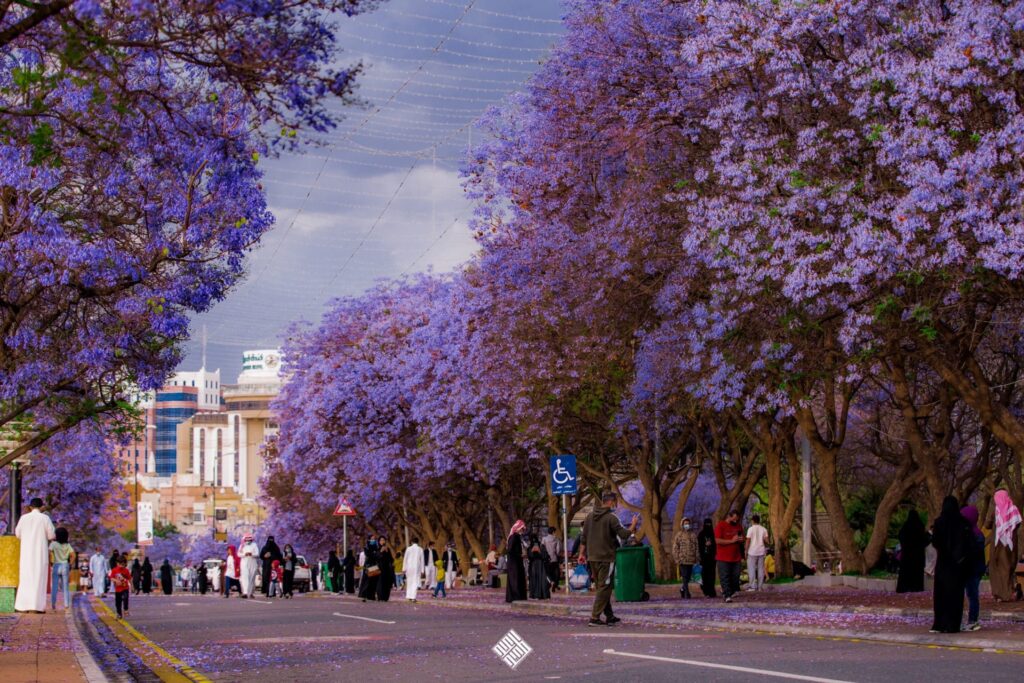 Abha